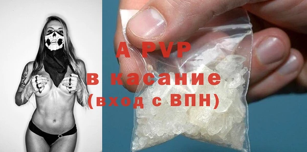 ешки Богданович