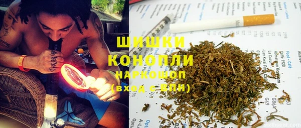 ешки Богданович
