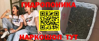 крисы Мариинск