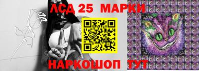 прущие грибы Малгобек