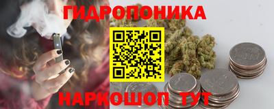 крисы Мариинск