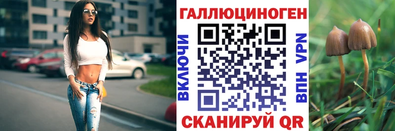 продажа наркотиков Вязьма Псилоцибиновые грибы мухоморы