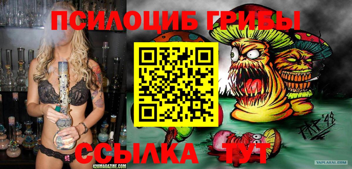 Галлюциногенные грибы Psilocybe Вязьма