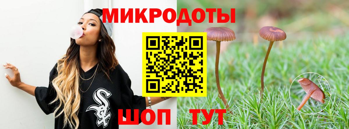 Псилоцибиновые грибы мухоморы  Псилоцибиновые грибы мицелий  Вязьма  наркотики  Вход с VPN 